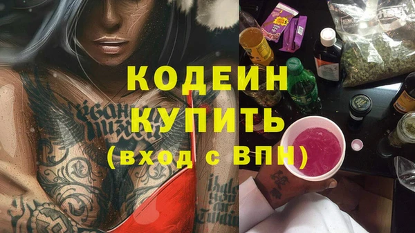 хмурый Осинники