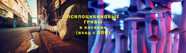 хмурый Осинники