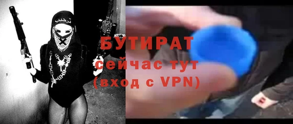 прущие грибы Осташков