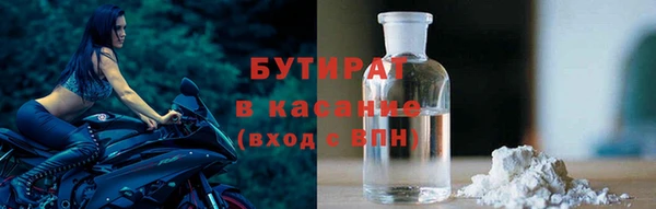 прущие грибы Осташков