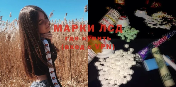прущие грибы Осташков