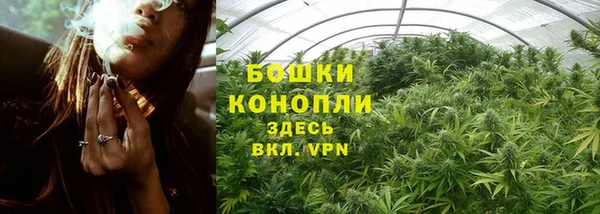 хмурый Осинники