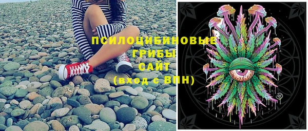 ALPHA PVP Остров
