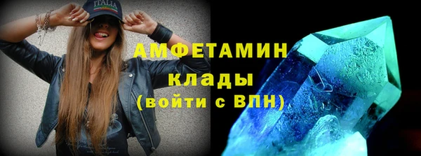 прущие грибы Осташков