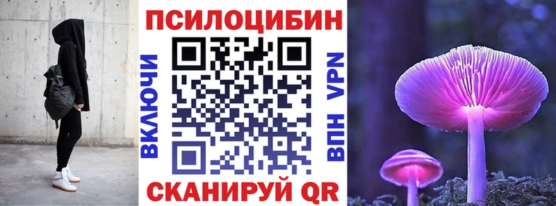 Псилоцибиновые грибы MAGIC MUSHROOMS  купить наркоту  Мурино 