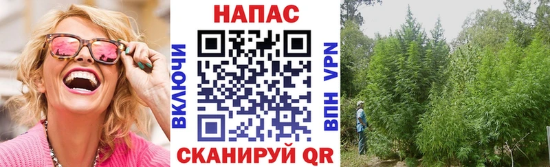Канабис Bruce Banner  Мурино 
